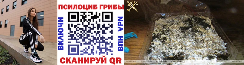 Псилоцибиновые грибы прущие грибы  Собинка 